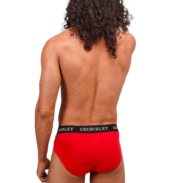 Classics 2Pack Briefs view 7