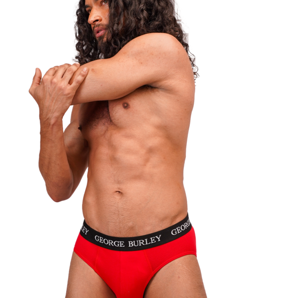 Classics 2Pack Briefs view 6