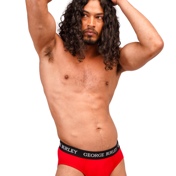 Classics 2Pack Briefs view 5