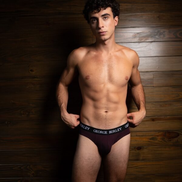 Classics 2Pack Briefs view 6