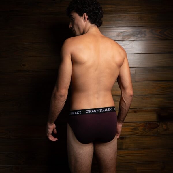 Classics 2Pack Briefs view 5