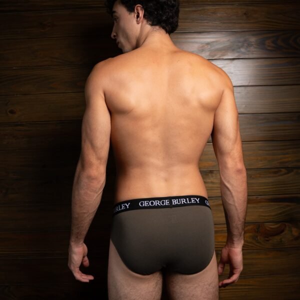 Classics 2Pack Briefs view 3
