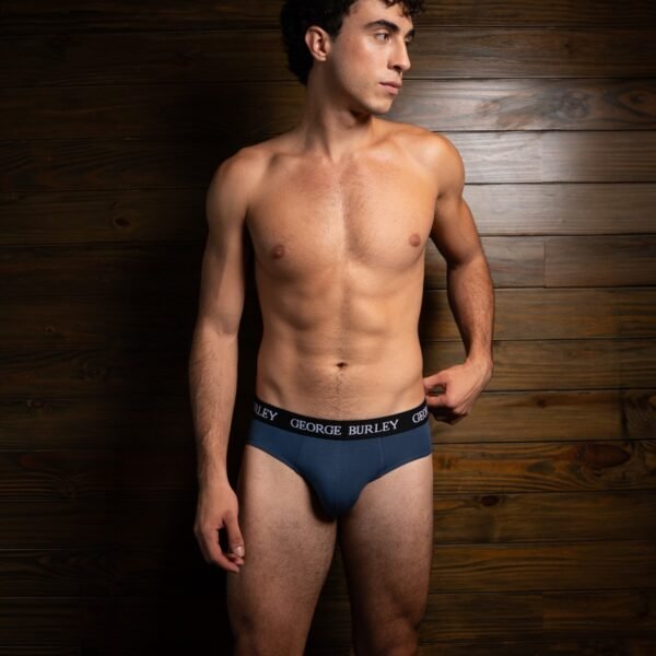 Classics 2Pack Briefs view 3