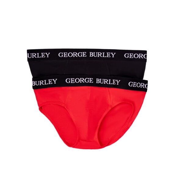 Classics 2Pack Briefs view 8